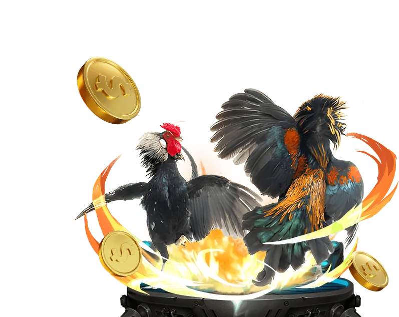 Câu hỏi thường gặp về bắn cá