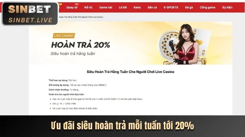 Tổng quan nền tảng cá cược SHBET68
